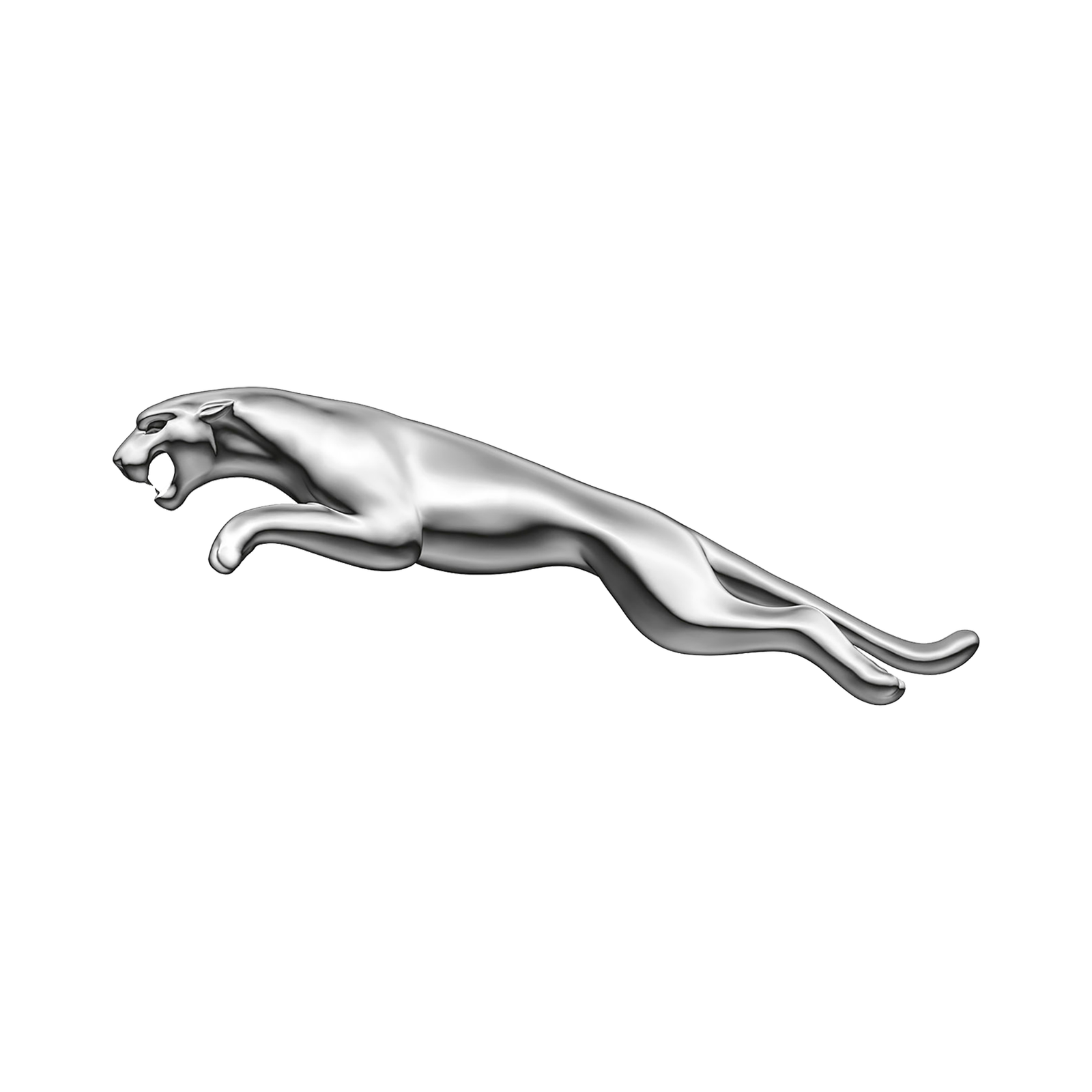 الرئيسية جاغوار